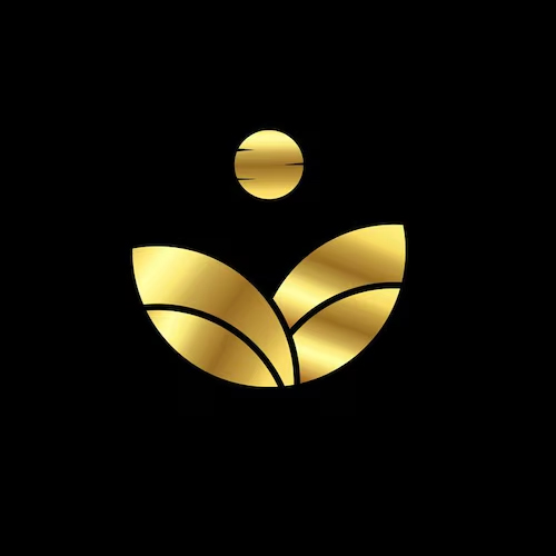 international-salon, Flames beauty care & Bridal studio