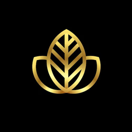 world-class-spa, Flames beauty care & Bridal studio